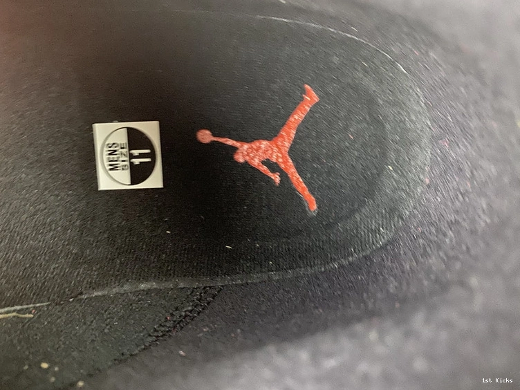 Bred 13 Air DJ5982-602   Jordan “Reverse 1119